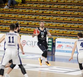 _MG_8666 _MG_8666