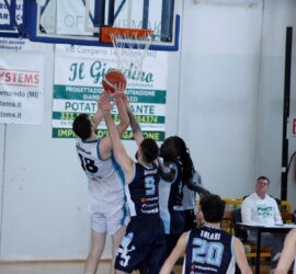 _MG_9449 _MG_9449