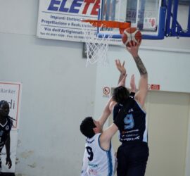 _MG_9452 _MG_9452