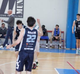 _MG_9456 _MG_9456