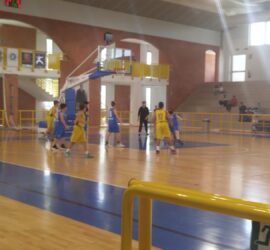 2ff6ceb3-32ea-44fd-af11-4ab837617231 2ff6ceb3-32ea-44fd-af11-4ab837617231