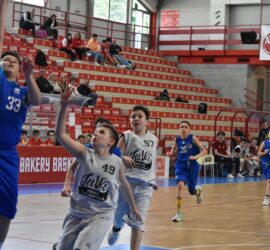 95c4dd9c-3598-4d17-8623-eccf49496d2d 95c4dd9c-3598-4d17-8623-eccf49496d2d