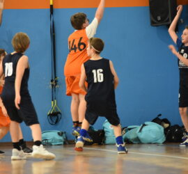 DSC_0268_4 DSC_0268_4