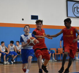 DSC_0367_3 DSC_0367_3