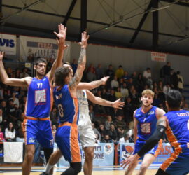 DSC_0083_10 DSC_0083_10