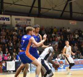 DSC_0131_9 DSC_0131_9