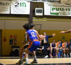 DSC_0194_7 DSC_0194_7