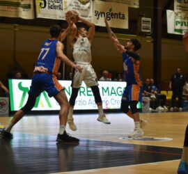 DSC_0207_7 DSC_0207_7