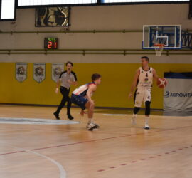 DSC_0386_5 DSC_0386_5