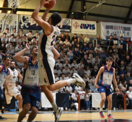 DSC_0415_5 DSC_0415_5