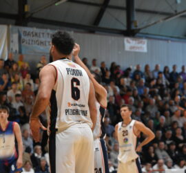 DSC_0416_6 DSC_0416_6