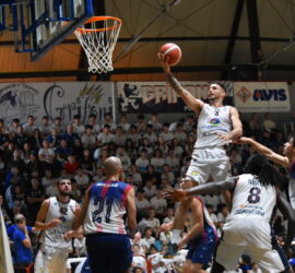 DSC_0446_4 DSC_0446_4