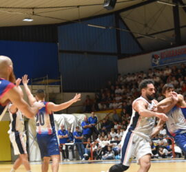 DSC_0493_4 DSC_0493_4