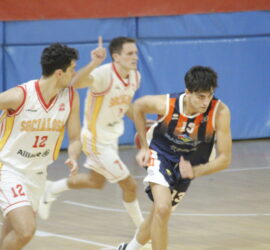 _MG_8950 _MG_8950