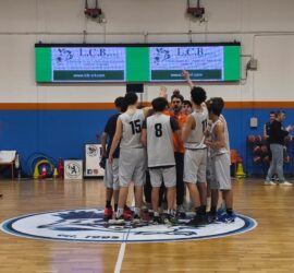 WhatsApp Image 2026-02-16 at 16.21.02