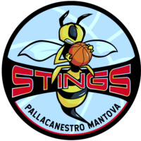 JBSTINGS MANTOVA